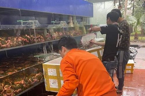 Giá cua Cà Mau, ghẹ xanh tăng cao dịp nghỉ lễ