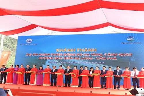 Khánh thành đường bao biển Hạ Long - Cẩm Phả quy mô 6 làn xe