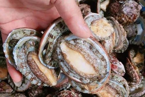 Bào ngư, vi cá mập giá rẻ giật mình, sự thật thịt bò Úc 80.000 đồng/kg