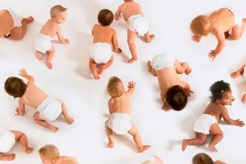 Hà Lan: Cấm người làm cha của ít nhất 500 đứa trẻ tiếp tục hiến tinh trùng