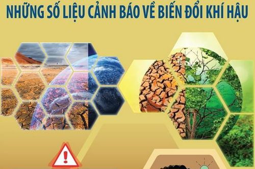 Những số liệu cảnh báo về biến đổi khí hậu
