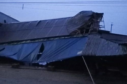 An Giang: Một người đang cấy lúa ngoài đồng bị sét đánh tử vong