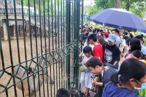 Công viên Thủ Lệ 'hút' du khách dịp nghỉ lễ