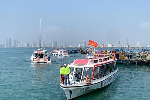 Ra mắt 'Biệt đội giải cứu san hô' ở bán đảo Sơn Trà Đà Nẵng
