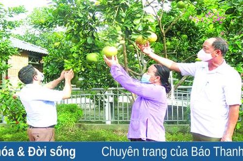 Đông Sơn: Đẩy mạnh sản xuất nâng cao thu nhập cho người dân