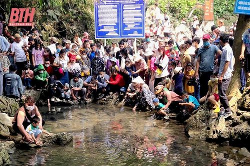 Hàng vạn du khách về suối cá Cẩm Lương