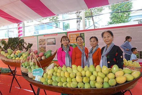 Nhiều ấn tượng đẹp trong lòng du khách
