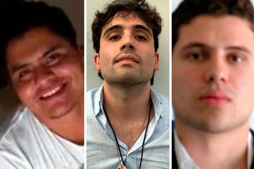 Không có bố, con trai El Chapo đẩy mạnh sản xuất fentanyl giá rẻ