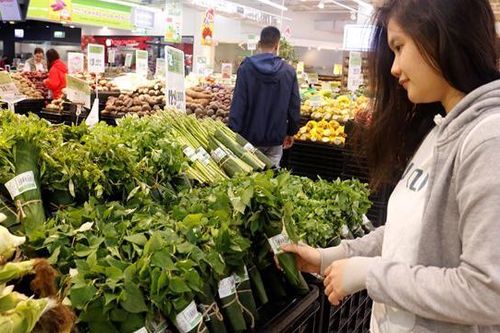 Hàng Việt bắt nhịp tiêu dùng xanh