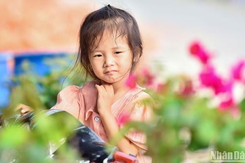 Quần đảo Hải Tặc hôm nay