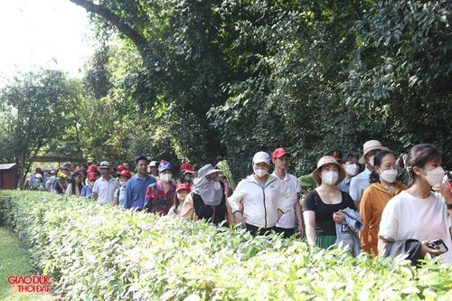 Hàng vạn du khách về thăm quê Bác dịp nghỉ lễ