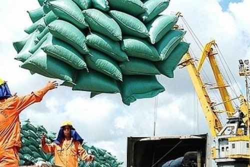 Xuất khẩu gạo tăng mạnh nhưng ít lô đạt yêu cầu của EU
