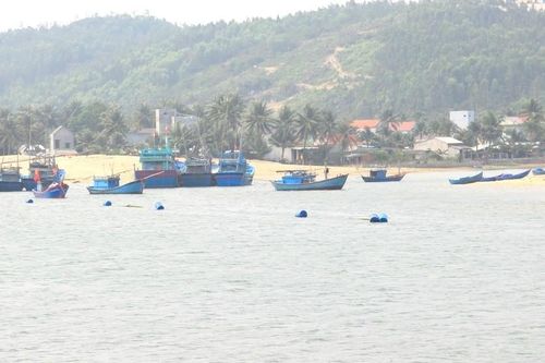 Cửa biển, luồng lạch vào cảng cá Tam Quan bị bồi lấp nghiêm trọng