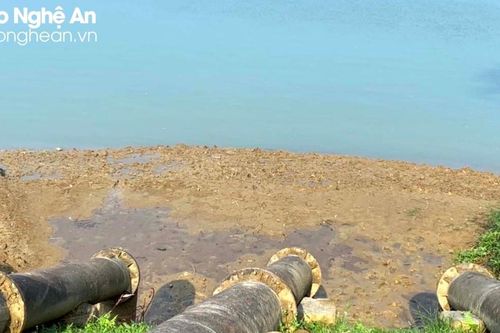 Trên 6.500 ha lúa hè thu-mùa ở Nghệ An có nguy cơ hạn hán và xâm nhập mặn