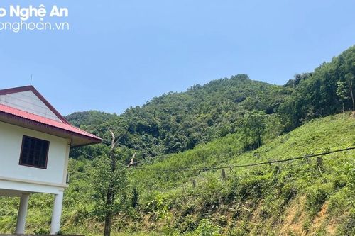 Núi Giăng Màn, địa điểm nhức nhối thường xuyên xảy ra các vụ phá rừng