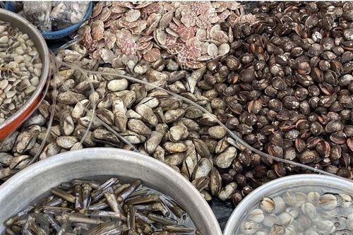 Trà Vinh: Hải sản cung không đủ cầu hải sản trong dịp lễ 30/4-1/5