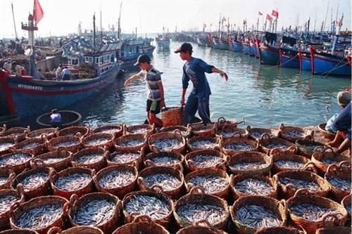 Giá hải sản tăng cao, cung không đủ cầu