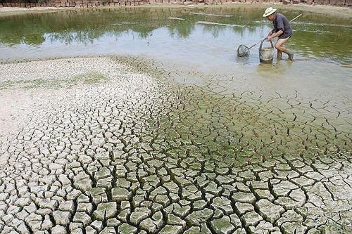ADB công bố Quỹ Tài chính Đổi mới cho Khí hậu ở châu Á - Thái Bình Dương