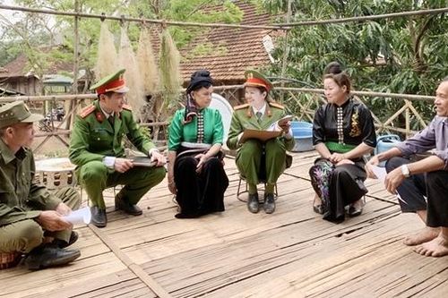 Hoa nở trên đá