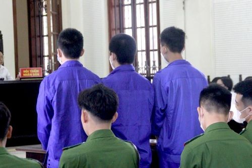 Nhói lòng phiên tòa xét xử 3 trẻ vị thành niên phạm tội giết người