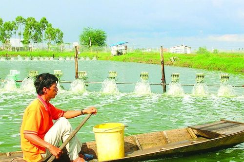 Để hợp tác xã là điểm tựa của nông dân