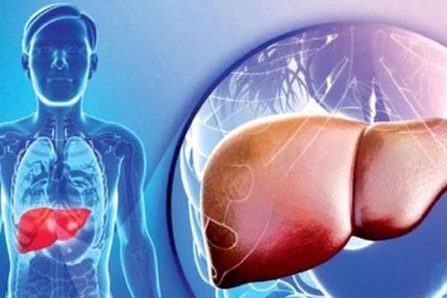 Nguyên nhân ăn chay vẫn có thể bị gan nhiễm mỡ