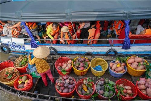 Doanh thu du lịch Cần Thơ ước đạt 523 tỷ đồng trong dịp nghỉ lễ