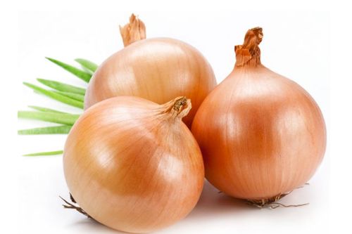 Vì sao tuyệt đối không được để hành tây trong tủ lạnh?