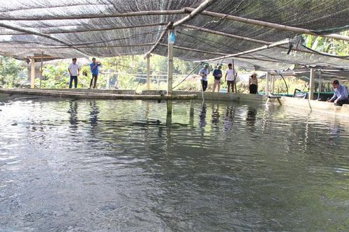 Xây dựng nông thôn mới gắn với bảo vệ an ninh biên giới ở Quan Sơn