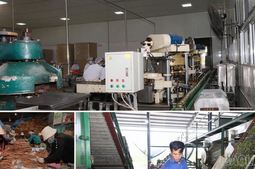Từng bước giải bài toán nông sản 'được mùa, mất giá'