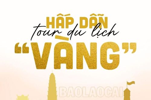 Hấp dẫn tour du lịch 'vàng'