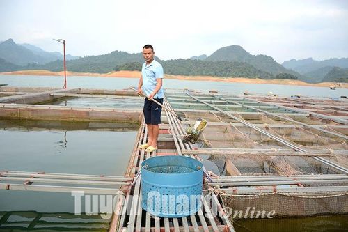 Bảo vệ môi trường sinh thái hồ Na Hang - Lâm Bình