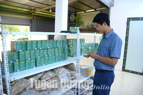 Sử dụng hiệu quả nguồn vốn ODA cho phát triển nông thôn