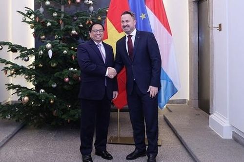 Đưa quan hệ hữu nghị Việt Nam - Luxembourg đi vào chiều sâu