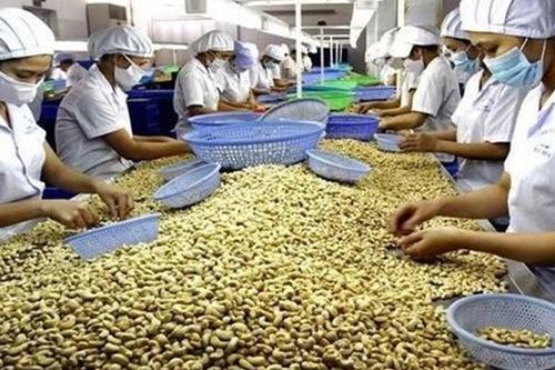 Cần xây dựng hàng rào thuế quan với hàng nhập khẩu để tạo sự công bằng