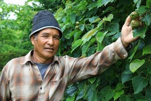 'Người đuổi gió' trên đỉnh Cu Vơ