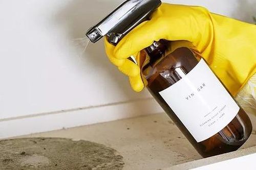 4 cách loại bỏ mốc đen sau những ngày nồm
