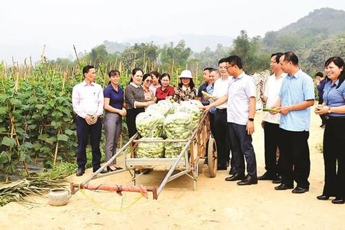 Nâng cao hiệu quả chính sách dân tộc từ hoạt động giám sát của nhân dân