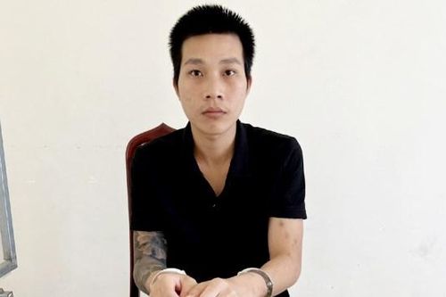 Rao bán cây cảnh giá rẻ trên facebook để chiếm đoạt hàng trăm triệu đồng