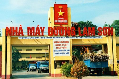Thanh Hóa: Công ty CP Mía đường Lam Sơn bị phạt 100 triệu đồng