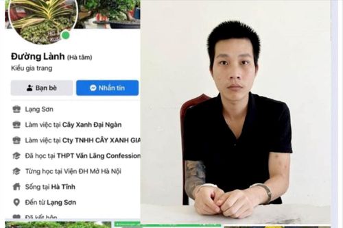 Rao bán cây cảnh qua mạng xã hội để lừa đảo