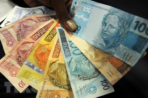 Brazil quyết định giữ nguyên lãi suất sau 12 lần tăng liên tiếp
