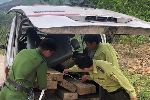 Quảng Ngãi: Liên tiếp phát hiện các xe chở gỗ lậu không có chủ