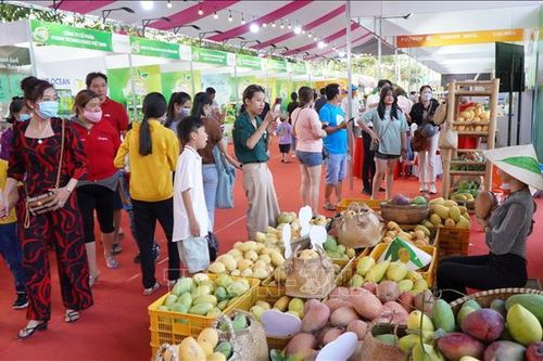 Đồng Tháp: Lễ hội Xoài thu hút hơn 150 ngàn lượt du khách