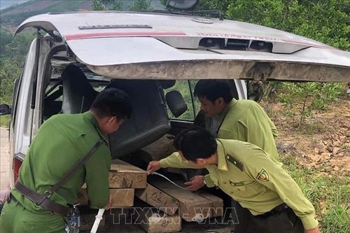 Quảng Ngãi: Liên tiếp phát hiện các xe chở gỗ không có chủ