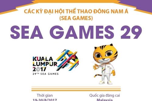 Thông tin về Đại hội thể thao Đông Nam Á lần thứ 29 (SEA Games 29)