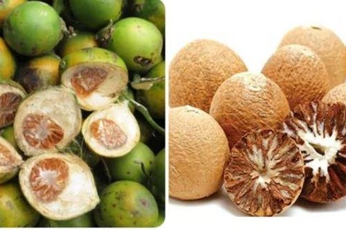 Hạt cau khô có tác dụng gì?
