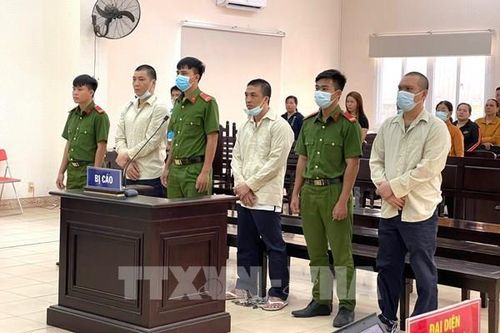 Bình Dương: Xử tù nhóm 'cát tặc' và kiểm tra 24 điểm kinh doanh của F88