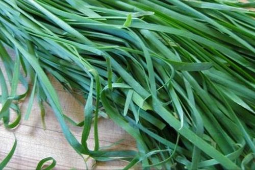 Loại cây họ hành là 'thuốc' quét mỡ cho gan, khỏe tiêu hóa