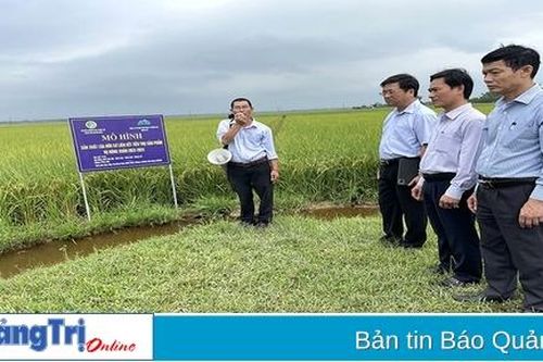 Nét mới trên đồng ruộng Vĩnh Lâm